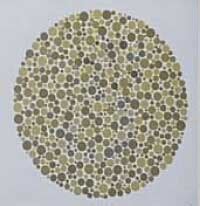 ishihara test score|Vischeck: Examples.
